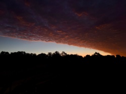 b4d6457c-d5ae-4fd1-844b-5ad9c7103ac9