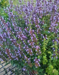 54efb690-2b12-47ef-a0d9-e38083f123f3