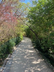 595ae328-a78d-4346-8df4-a11e2d99671a