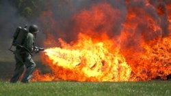 656ae665-dc89-44b7-8675-e7f70df43d2d