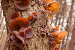 df5ad10b-a3f4-494a-8445-2f51d1e005c9