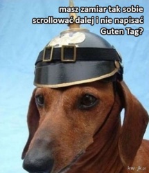 3b78c65e-0d8a-4701-802e-e628ebc9b5d8