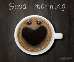 ec581d19-61e2-47c4-8636-9f33eb62198e