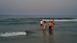 8dc7b1fe-0014-40a3-be34-0aaa1a53efe4