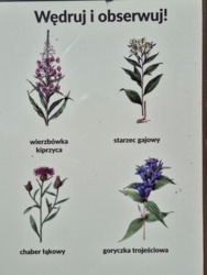 31fbba77-14d7-4e1f-99a4-c0140acc5aa2