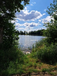 f730ce42-b7b4-49dd-a3b4-0cf53e998022