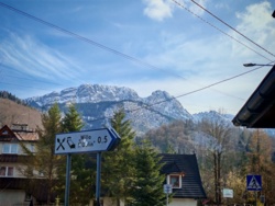 460d97c8-0828-4e0c-a8c7-127c6c8535d3