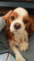 5d98d5a4-5fe0-4005-b769-20f83c805696