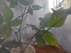 4342bdf2-dce6-49e9-9dc0-47ec520638a0