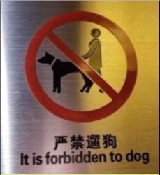 ae1dd99d-af00-443d-b688-4d2d30824cc4