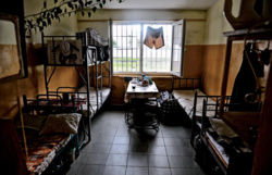 98d62128-4ae9-4c2f-90f3-407ebaeef673