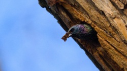 d8d6b46e-ed58-46ab-9e2c-1fd52cbc9ecd