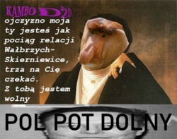 9e9f5008-09b7-4283-845e-891cafb96153