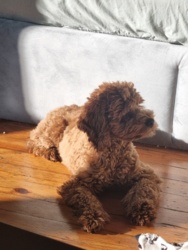 0067a731-be37-48ba-84be-8e5e783569c1