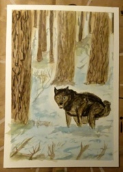 f2449218-bc0c-43e4-abe0-d0d05d7fc87a