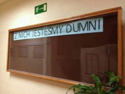 2e1cc732-6537-4e51-8273-089c406c745b