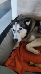 34651402-1965-4837-a218-40649214ddee