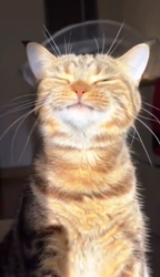 f904bb79-eb8f-4c3b-8e6d-7980b05b7c31