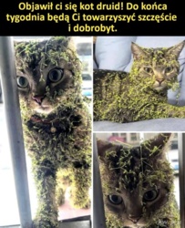 ee911a69-d0ad-4c62-a7fa-fc6deca1f9b1