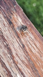 18cee280-f975-44d9-b73c-b68f0341a8f6