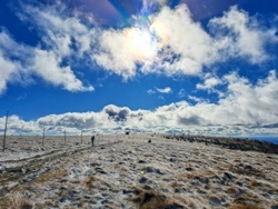 30abb79c-fe34-4cd1-8e9d-9f65e06e214b