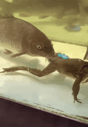 82a2eec4-3bcf-4bec-b3f7-82586acdb5de