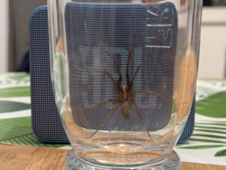 c7e59ca2-95e1-4dc7-b805-59cd230610fb