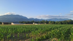 5c486f9e-489b-4291-8edf-ed33c68b4655