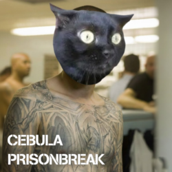 762fbffe-a6d0-4eff-bd96-54facc265979