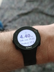 3923f1f4-fc12-4425-8803-89c37ee3bcb5