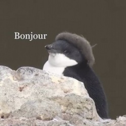 ac060795-e2de-4541-9afa-389d03733181