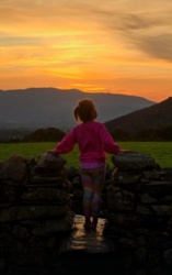 d83fd976-dc4e-4369-a86f-0148fb181616