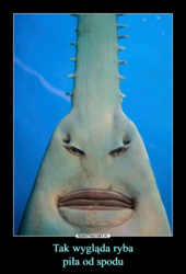 1701d832-d28b-4517-98cf-ecc520c725db