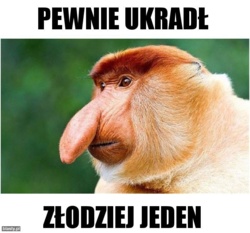 5a122d5b-8c34-4d37-bc22-31be3f89dfad