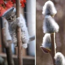 3bc17867-62ca-484e-9a7e-4e1b99fd81f0