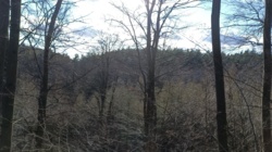 bbf81c7d-10d3-498d-a097-b2e235e2e53f