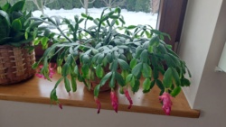 0103b7d7-91a3-489b-8597-612d6c709b17