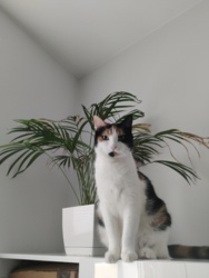 c7ea9e2a-e229-4034-afb6-d4dfd2678e9d