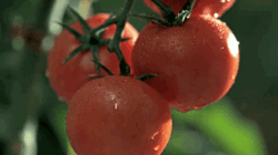 a2eab076-ee50-468b-81bf-44d0871f63ea