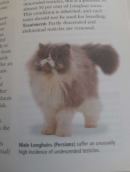 5ec47f87-6b7e-425b-8e89-92384a26192e