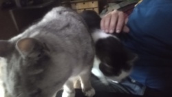 dcceb89b-1d00-482e-9906-6da6a77f0b5c