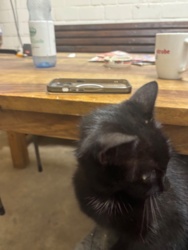 81edc1e8-1764-4d92-8b72-98cdbc89d4c5