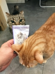 50892f57-591c-4cae-a0bc-aa0165506338