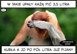 94733964-2df6-4e51-8b86-1e2331298897