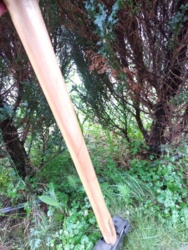 71b37299-2a2a-45eb-a456-85e304fc7b6a