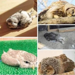 6f71c823-63c3-45b8-850a-f8c0b89ac558