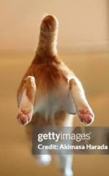 5db34913-5c83-4eb3-b755-325ddf10411d