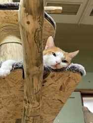 61961af6-3ce5-41a2-9cf9-20c8ffdcaf90