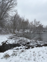 68f9416f-2337-49a9-8efa-f498d3de15b8