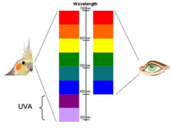 82befbdd-db3d-44ff-aa6b-fd646e5fda19